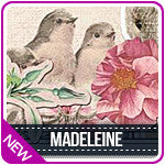 Bo Bunny Madeline