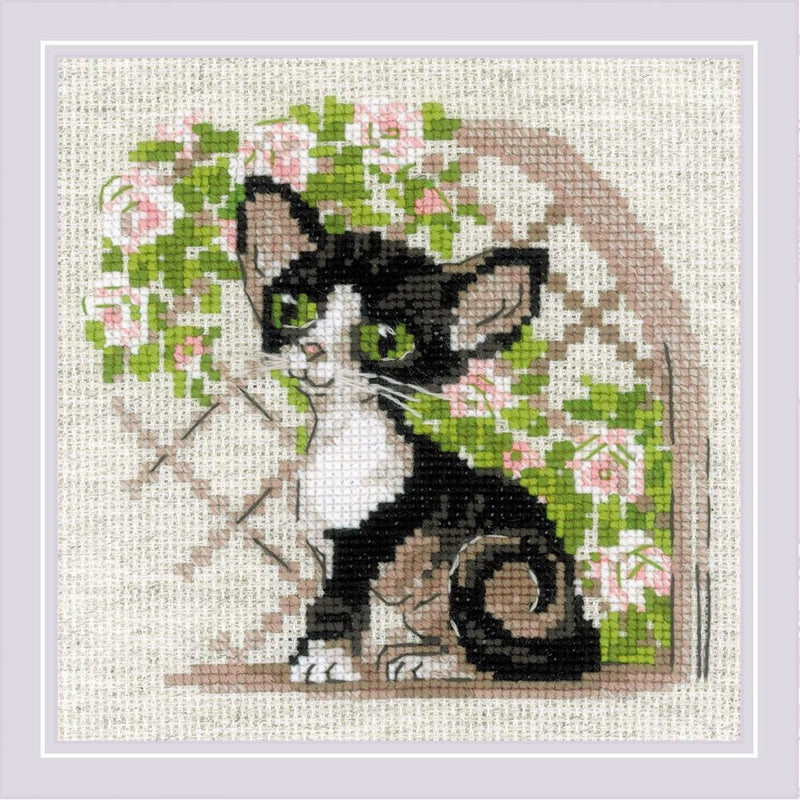 RIOLIS Counted Cross Stitch Kit 6"X6" Cornish Rex Kitten (14 Count)*