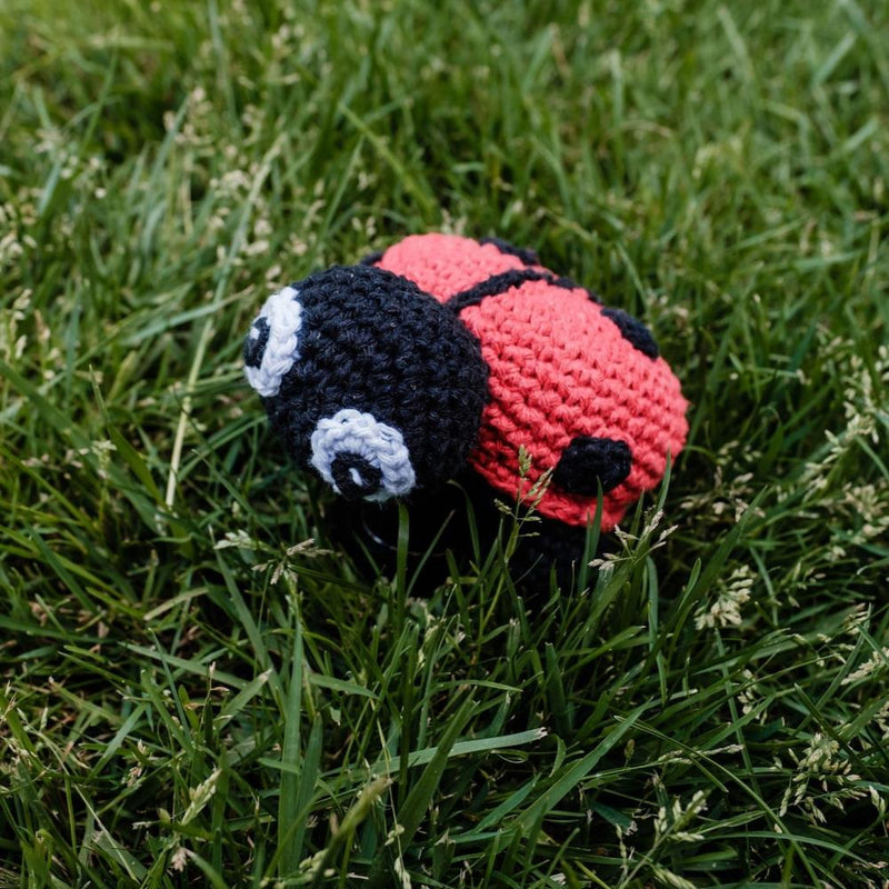 Hoooked Amigurumi DIY Kit W/Eco Barbante Yarn Ladybird Daisy*