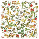 49 And Market Laser Cut Outs Vintage Orchard Wildflower*