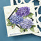 Spellbinders Etched Dies By Susan Tierney-Cockburn Hydrangea