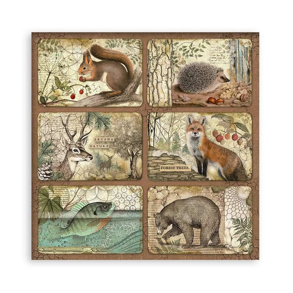 Stamperia Single-Sided Paper Pad 12"x 12" 22/Pkg - Forest
