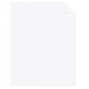 Neenah Astrodesigns 65lb Metallic Cardstock 8.5"X11" 50/Pkg Metallic White Gold*