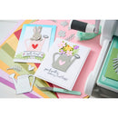Sizzix Clear Stamps Set By Catherine Pooler 22/Pkg - Sprinkled With Love*