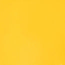 Liquitex Professional Heavy Body Acrylic 59ml - S3 - Cadmium-Free Yellow Light*