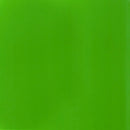 Liquitex Basics Acrylic Paint 118ml - Fluorescent Green