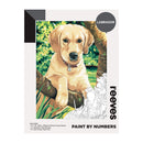 Reeves Paint By Numbers Kit - Labrador