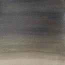 Winsor & Newton Cotman Watercolour 8ml - S2 - Iridescent Black