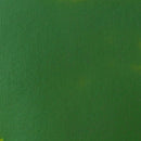 Liquitex Basics Acrylic Paint 400ml - Hooker's Green Hue Permanent