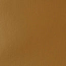 Liquitex Basics Acrylic Paint 400ml - Raw Sienna
