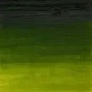 Winsor & Newton Artists' Oil Colour 37ml - S2 - Sap Green*