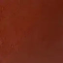 Winsor & Newton Artists' Oil Colour 37ml - S1 - Venetian Red*