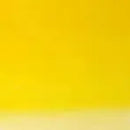 Winsor & Newton Artists' Oil Colour 37ml - S2 - Winsor Yellow*