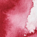 Winsor & Newton Professional Watercolour 5ml - S3 - Permanent Alizarin Crimson