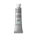 Winsor & Newton Professional Watercolour 5ml - S1 - Terre Verte*