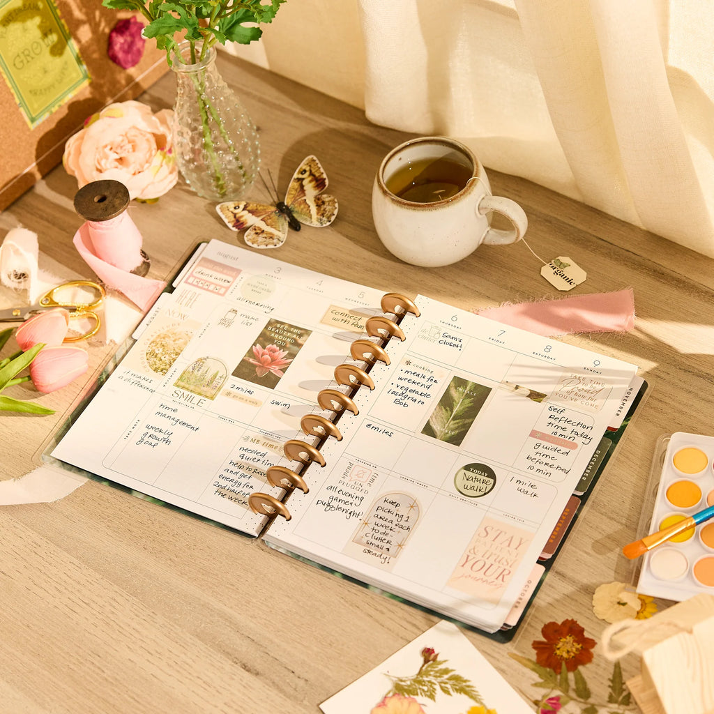 My & My Big Ideas 26–2027 Modern Nature Customizable Wellness Planner ...