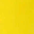 Winsor & Newton Artists' Oil Colour 37ml - S4 - Bismuth Yellow*