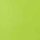 Liquitex Professional Heavy Body Acrylic 59ml - S1 - Brilliant Yellow Green