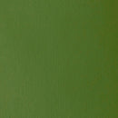 Liquitex Professional Heavy Body Acrylic 59ml - S2 - Chromium Oxide Green