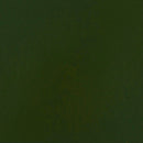 Liquitex Professional Heavy Body Acrylic 59ml - S2 - Sap Green Permanent