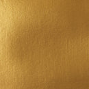 Liquitex Professional Heavy Body Acrylic 59ml - S2 - Iridescent Rich Gold