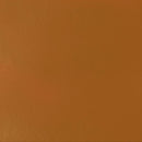 Liquitex Professional Heavy Body Acrylic 59ml - S3 - Raw Sienna Transparent