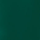 Liquitex Professional Heavy Body Acrylic 59ml - S4 - Cobalt Green*