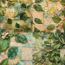 Poppy Crafts 6"x6" Paper Pack