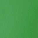 Liquitex Basics Acrylic Paint 118ml - Light Green
