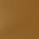Liquitex Basics Acrylic Paint 118ml - Raw Sienna