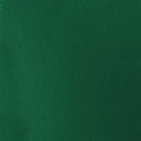 Liquitex Basics Acrylic Paint 118ml - Green Deep