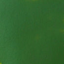 Liquitex Basics Acrylic Paint 118ml - Hooker's Green