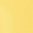 Liquitex Basics Acrylic Paint 118ml - Naples Yellow Hue