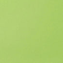 Liquitex Basics Acrylic Paint 118ml - Brilliant Yellow Green