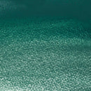 Winsor & Newton Professional Watercolour 5ml - S3 - Cobalt Green Deep*