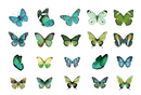 Poppy Crafts Butterfly Nature Sticker Pack - Green