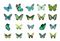 Poppy Crafts Butterfly Nature Sticker Pack - Green