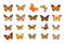 Poppy Crafts Butterfly Nature Sticker Pack - Orange