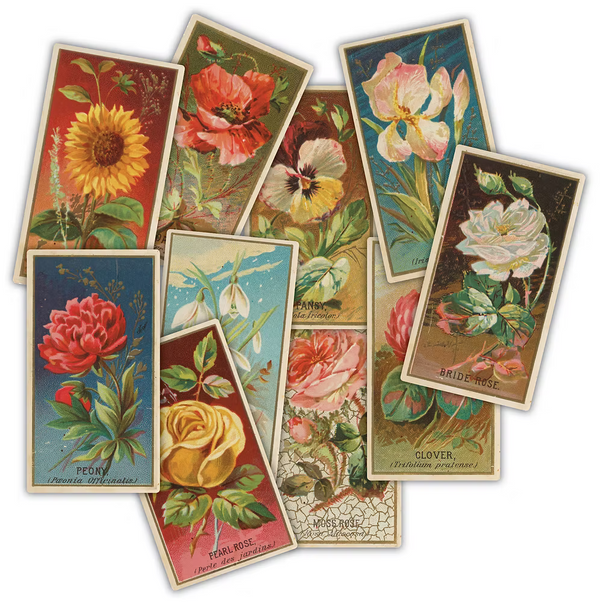 Craft Consortium -The Collector - Flowers - Ephemera