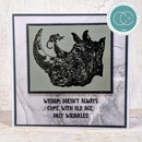 Craft Consortium Photopolymer Stamp set Wisdom, Oliver's Adventures