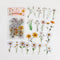 Poppy Crafts Floral Nature Sticker Pack - White Flowers