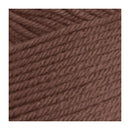 Premier Yarns Basix Yarn - Pecan
