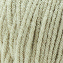 Premier Basix Yarn - Artichoke