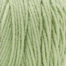 Premier Basix Yarn - Celery*