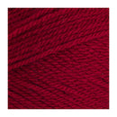 Stylecraft Special DK Premium Acrylic Yarn 100g - Claret