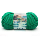 Lion Brand Hometown USA Yarn - Green Bay