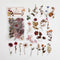 Poppy Crafts Floral Nature Sticker Pack - Dried Flowers