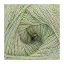 Fiddlesticks Marble 8ply Yarn 50g - Leaf