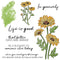 Poppy Crafts Cutting Dies & Stamp Set #153 - Life Is Good