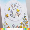 Waffle Flower Die Set - Nesting Circles